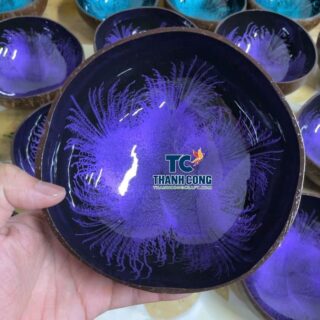 Vibrant Purple Lacquer Coconut Bowl Popular Island Souvenir