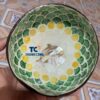 Wholesale Green Fish Scale Inlaid Coconut Bowls Vietnam Supplier – TCMCB 8647W