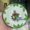 Wholesale Parrot Hand Painted Coconut Bowl TCLCB 8645W