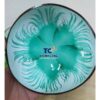 Wholesale Teal Ocean Breath Coconut Bowls TCLCB 8658W